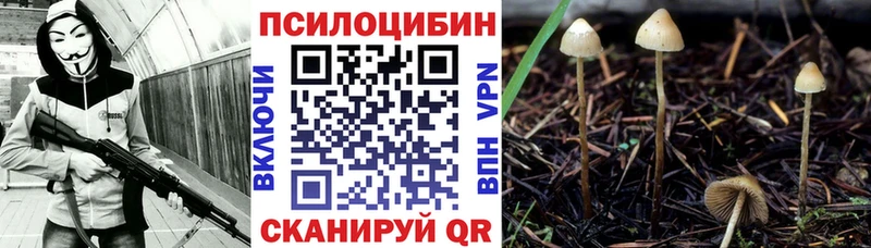 купить наркоту  Курчалой  Псилоцибиновые грибы прущие грибы 