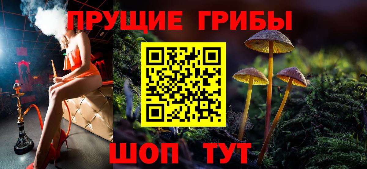 Галлюциногенные грибы MAGIC MUSHROOMS  Вход с VPN  Курчалой  продажа наркотиков  Галлюциногенные грибы Magic Shrooms 