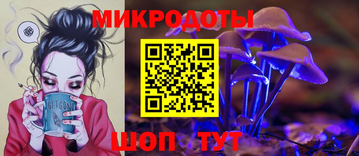 Галлюциногенные грибы Psilocybine cubensis Курчалой