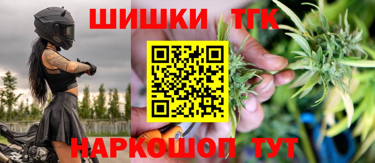 Марихуана сатива Курчалой